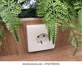 A white, square electrical socket (Type F) mounted on a wooden surface, partially framed by green fern-like plants hanging from above.
