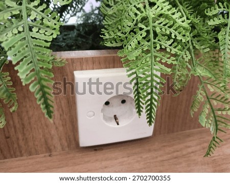 A white, square electrical socket (Type F) mounted on a wooden surface, partially framed by green fern-like plants hanging from above.