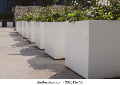 White Square Flower Planters In A Row