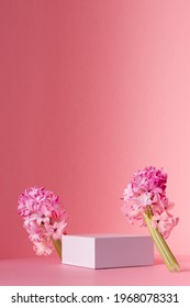 White square podium for display cosmetic, products withspring hyacinth flowers standing  in sunlight on gradient pastel pink background, vertical.