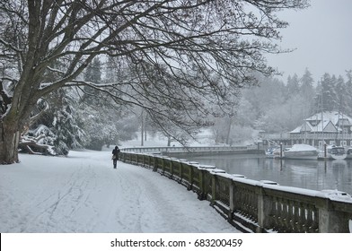 White Stanley Park Vancouver During Winter