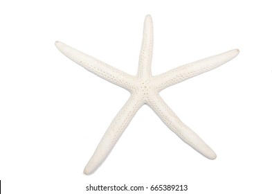 White Starfish Isolated On White, Top View