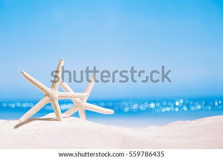 white starfish with ocean, on white sand beach, sky and seascape, shallow dof