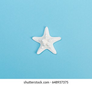 White Starfish On A Blue Paper Background