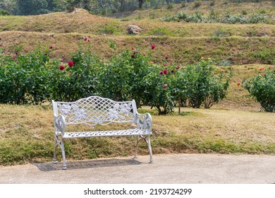 White Steel Bench In The Rose Garden