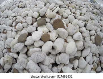  White Stone Background Texture Shot With 