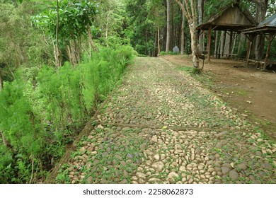 White Stone path in the garden or jungle forest area. - Shutterstock ID 2258062873