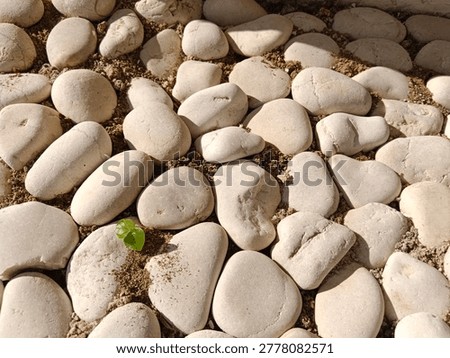 White stone, a pole of white stone