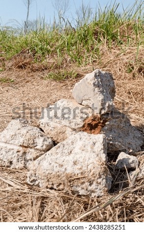 White stones with dry grass on the ground