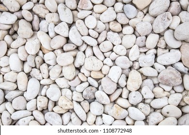 White stones in a garden, background