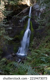 White Streams Of Marymere Falls, Olympic Peninsula, WA, USA