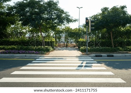 White stripes of pedestrian crossing. white road markings on the highway. prohibited traffic light signal