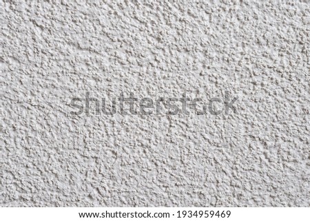 White structural facade plaster. Acrylic plaster structure. Lamb style plaster with small granules