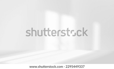 white studio room with sunlight and shadows background, empty white room place for design, white background