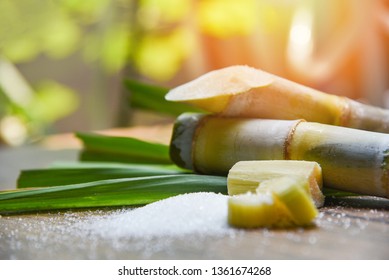 Weißzucker und Zuckerrohr auf Holztisch und Naturhintergrund 