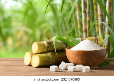 White sugar with fresh sugar cane on wooden table with sugar cane plantation farming background.