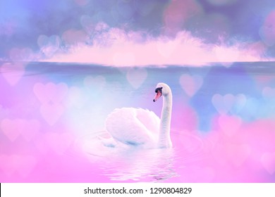 White swan in the foggy lake at the dawn. Morning lights. Romantic background. Beautiful swan. Cygnus. Romance of white swan with clear beautiful pink landscape. - Shutterstock ID 1290804829