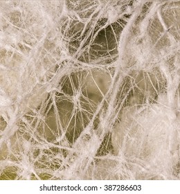 3,607 Downy fibers Images, Stock Photos & Vectors | Shutterstock