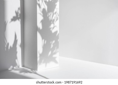 White Table And Abstract Geometric Wall Background With Flowers And Palm Leaves Shadows Overlay. Abstract Gray Studio Background For Product Presentation. 3d Room With Copy Space. Summer Concept.