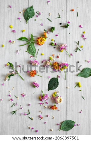 Similar – Tropical flower and palm leaves on white