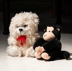 Ein Weißer Teddybär Und Ein Schwarzes Affenspielzeug Sitzen Nebeneinander Auf Dem Boden.