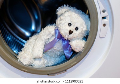 washing machine teddy bear