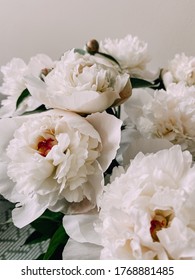 White Tender Peonies Win Hearts