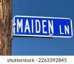 White text on bright blue background Maiden LN. lane street sign in Williamsport, Pennsylvania.