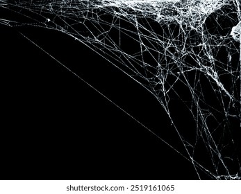 White threads of spider web on right angle corner close up view isolated on black