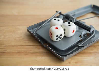 White Three Casino Dice Gambling In Rat Trap On Wooden Background With Copy Space. Gambling, Betting Online Casino, Social Problem, Investment In Stock Market Concept.