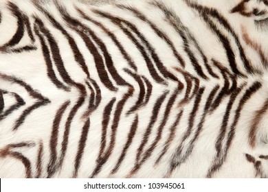 92,464 White Tiger Pattern Images, Stock Photos & Vectors | Shutterstock