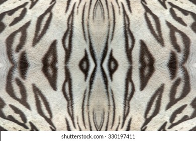 White Tiger Skin Texture.