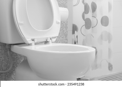 toilet sitter