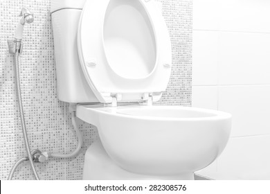 White toilet bowl