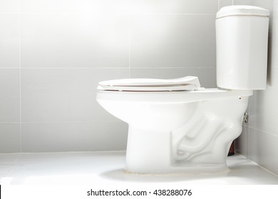 White toilet bowl in the bathroom.