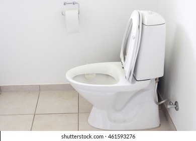 Stylish Toilet Bowl Modern Bathroom Interior Stock Photo (edit Now 