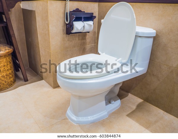 White Toilet Bowl Luxury Bath Room Stock Photo Edit Now 603844874