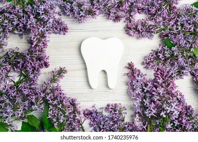 White Tooth Surrounded By Lilac 260nw 1740235976 