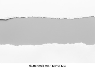 white torn paper on gray background. collection paper rip - Shutterstock ID 1334054753