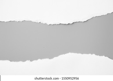 white torn paper on gray background. collection paper rip - Shutterstock ID 1550952956
