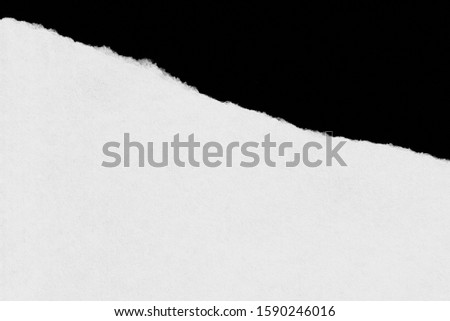 White torn paper texture. Old background