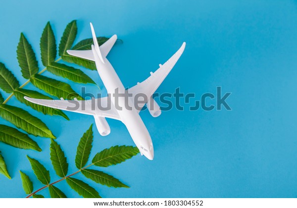White toy plane\
with green plant on blue background, environmental protection\
concept. Clean fuel\
concept