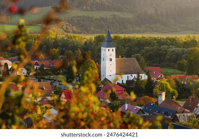 White traditional hictoric church with tall and strong belltower in Velicna village, Slovakia in an evening valley with sunset light, rosehip bush in foreground and forest in background - Powered by Shutterstock