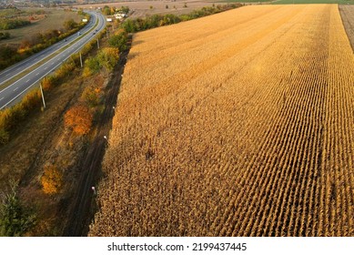 White Trailer Car Driving On Asphalt Road. Road Seen From The Air. Aerial View Landscape, Dron Photography. Autumn Highway, Ukraine