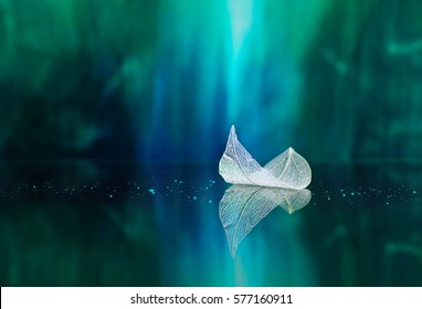 White transparent leaf on mirror surface with reflection on green background macro. Abstract artistic image of ship in waters of lake. Template Border natural dreamy artistic image for traveling - Shutterstock ID 577160911