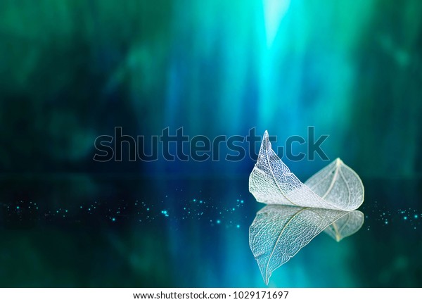 White transparent leaf on mirror surface with reflection on turquoise background macro. Artistic image of ship in water of lake. Dreamy image nature, free space