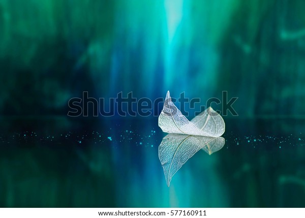 White transparent leaf on mirror surface with\
reflection on green background macro. Abstract artistic image of\
ship in waters of lake. Template Border natural dreamy artistic\
image for traveling