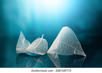 White transparent leafs on mirror surface with reflection on blue background, macro. Abstract artistic natural dreamy image.