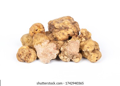 White truffle Tuber Magnatum Pico.