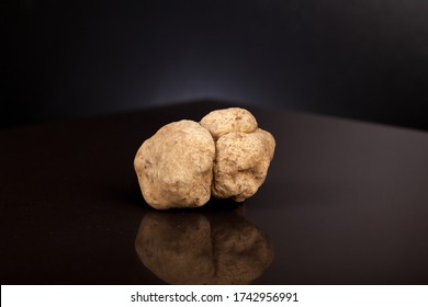 White truffle Tuber Magnatum Pico.